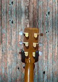 Aria Acoustic Guitars
GuitarSeekers Texas