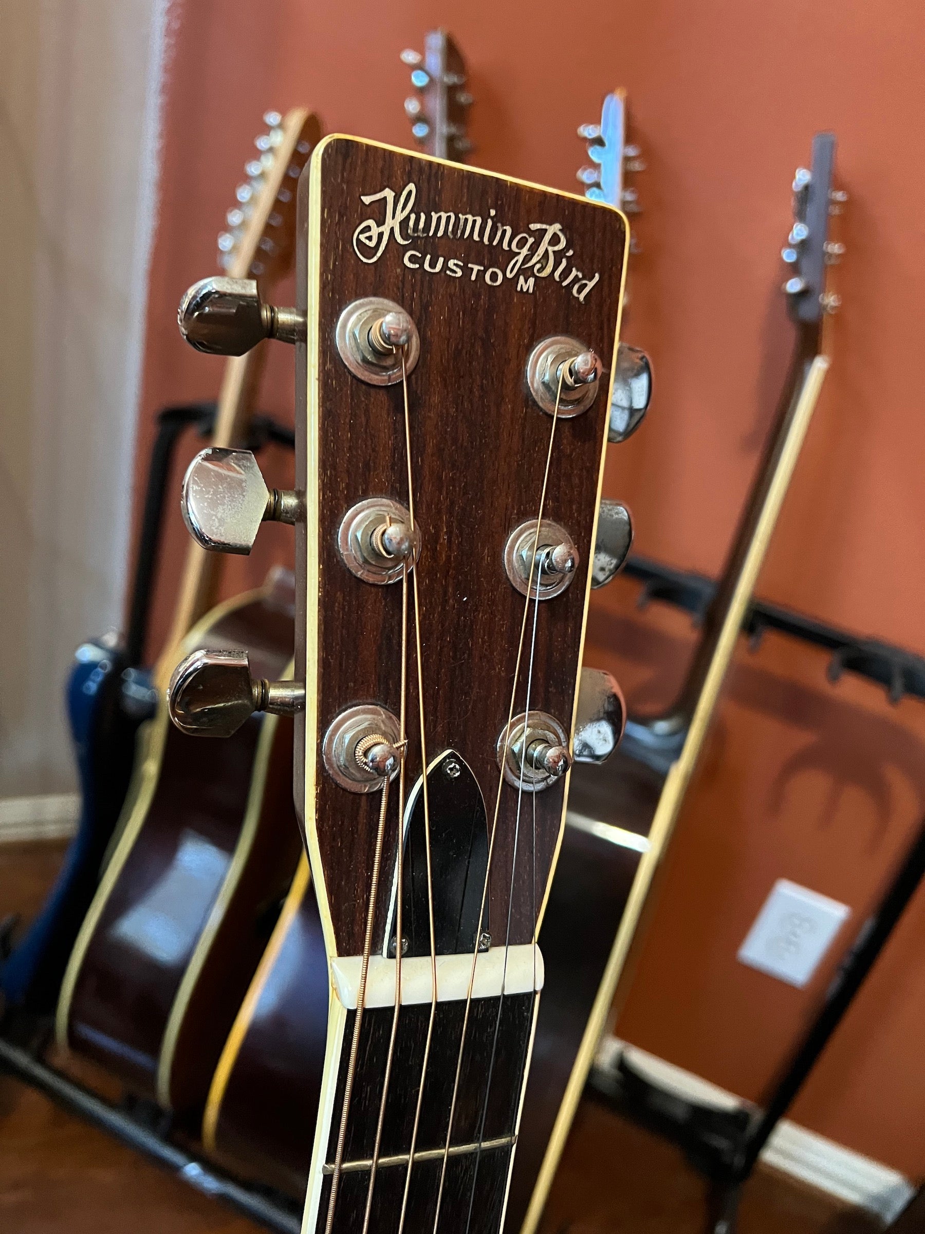 Tokai Custom Hummingbird  W   Acoustic Guitar
